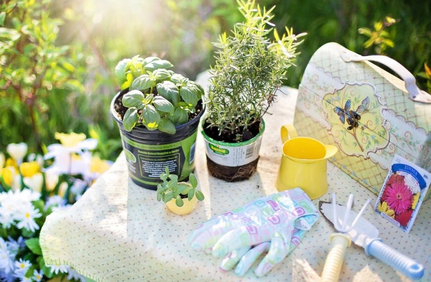 Jardinagem para iniciantes: Dicas simples para cultivar um jardim incrível em casa