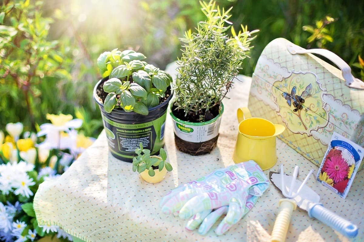 Jardinagem para iniciantes: Dicas simples para cultivar um jardim incrível em casa