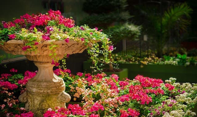 Design de Jardins: Transforme seu Espaço Exterior em um Paraíso Verde