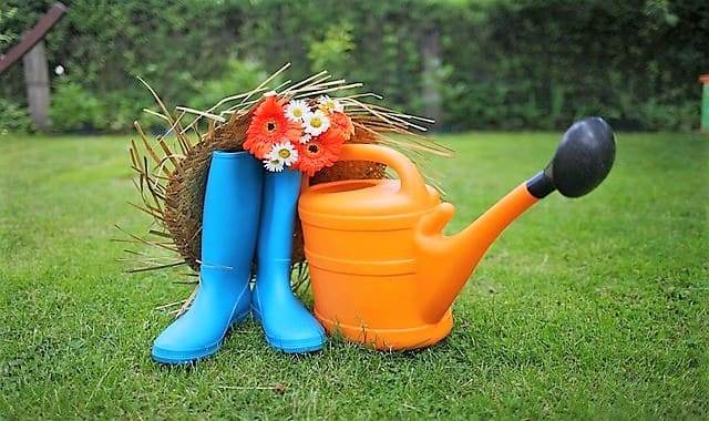 Como Manter a Grama do seu Jardim Sempre Verde e Saudável: Dicas e Cuidados